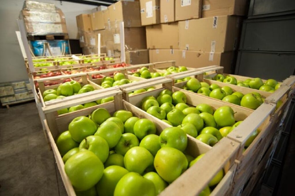 donare cibo ai poveri OSF mensa